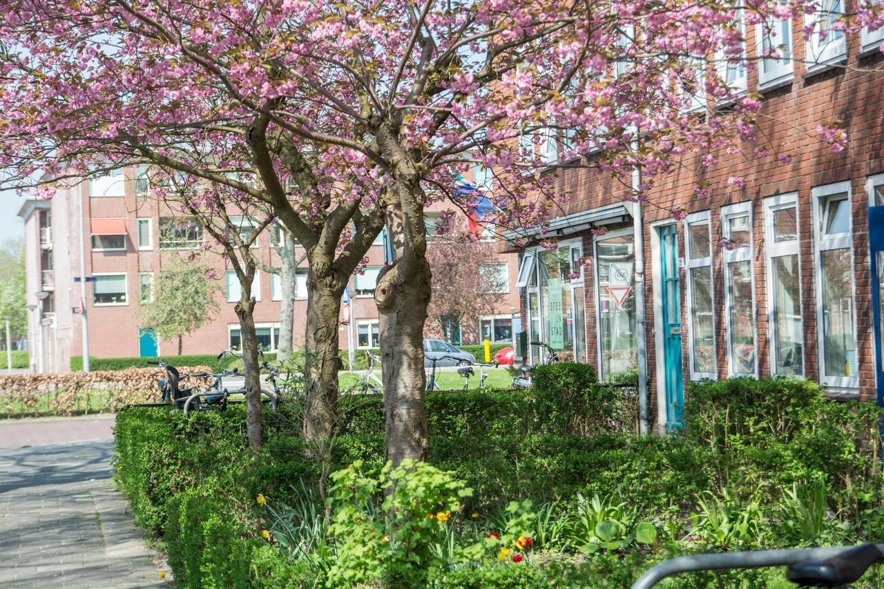 Stee In Gasthuis Groningen